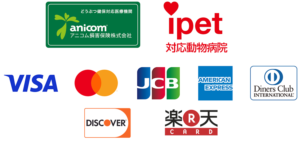 クレジットカード