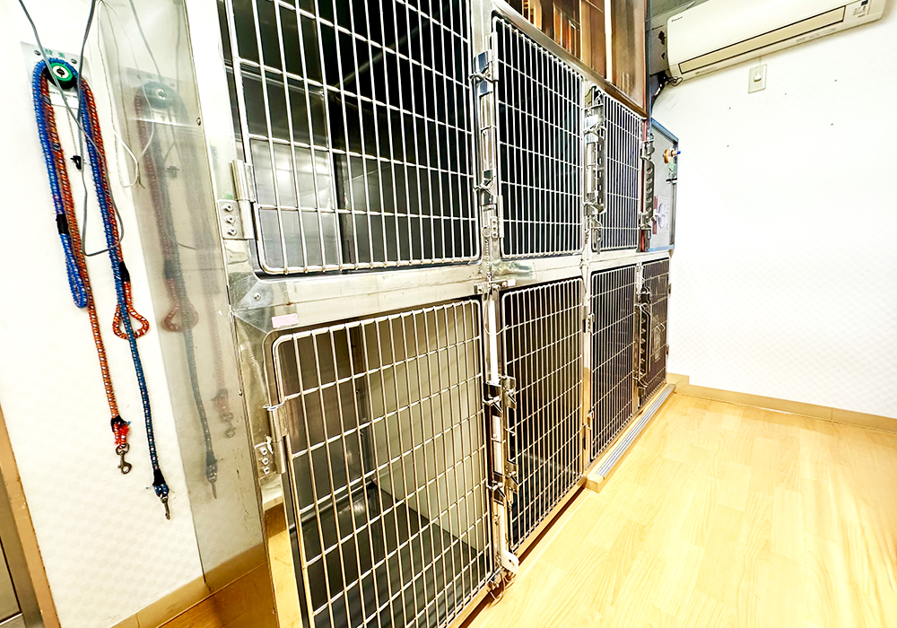 ホテル・入院室