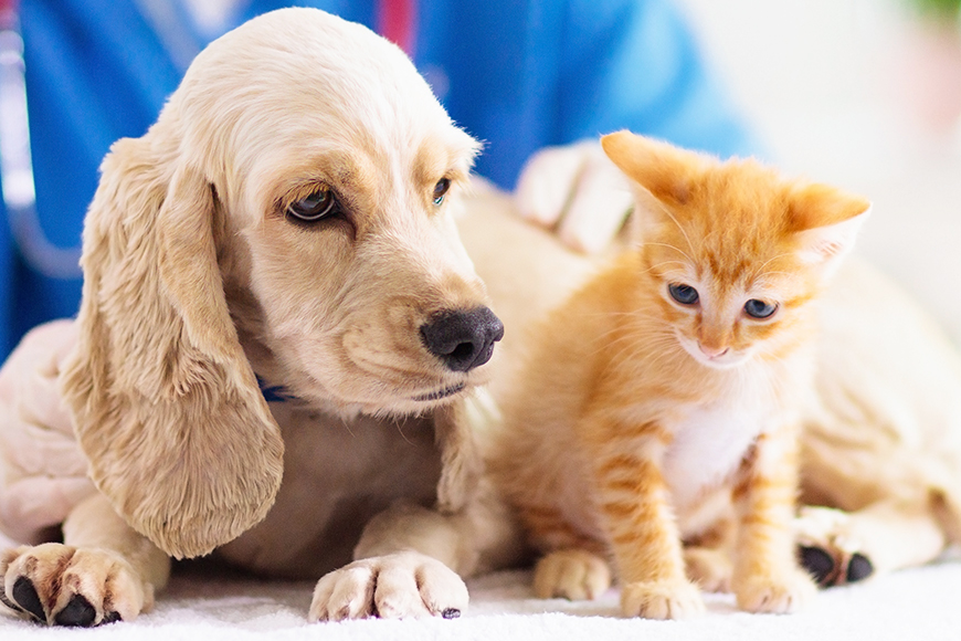 院長・スタッフ